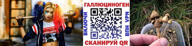 Псилоцибиновые грибы мицелий Пойковский